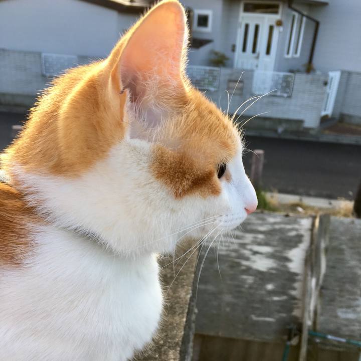 8313c3d7 0808 4e28 ab14 f51dbe1742f4