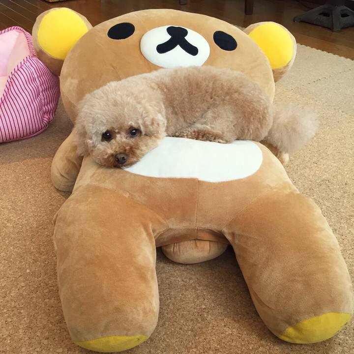 8313f10b 9c1f 4e28 aa3d 2e7ec5e68d4e