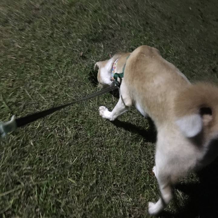 83146023 55f0 4102 9584 5d6344a0836c