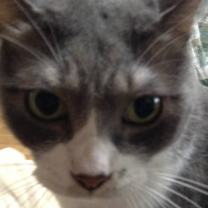 831470e5 1e7d 45c3 9e54 b11d1b3a5b25