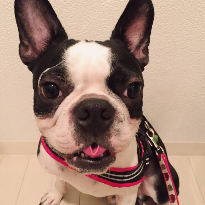 83148f51 1dfc 42cd 9dee 3c6ccacdb633