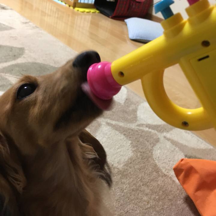 83151e15 6720 4a85 9b2c f6edae986821