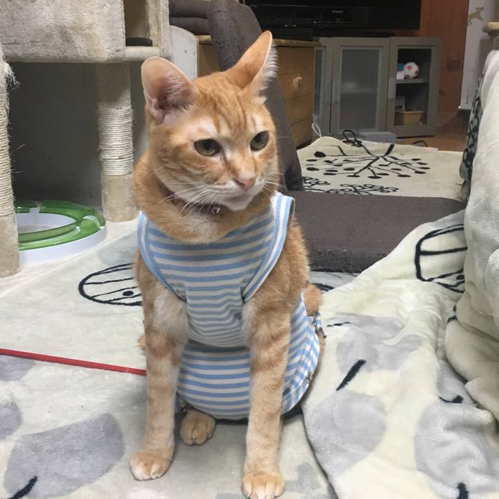 83152199 2b58 4617 b3b8 ee3005f44f39