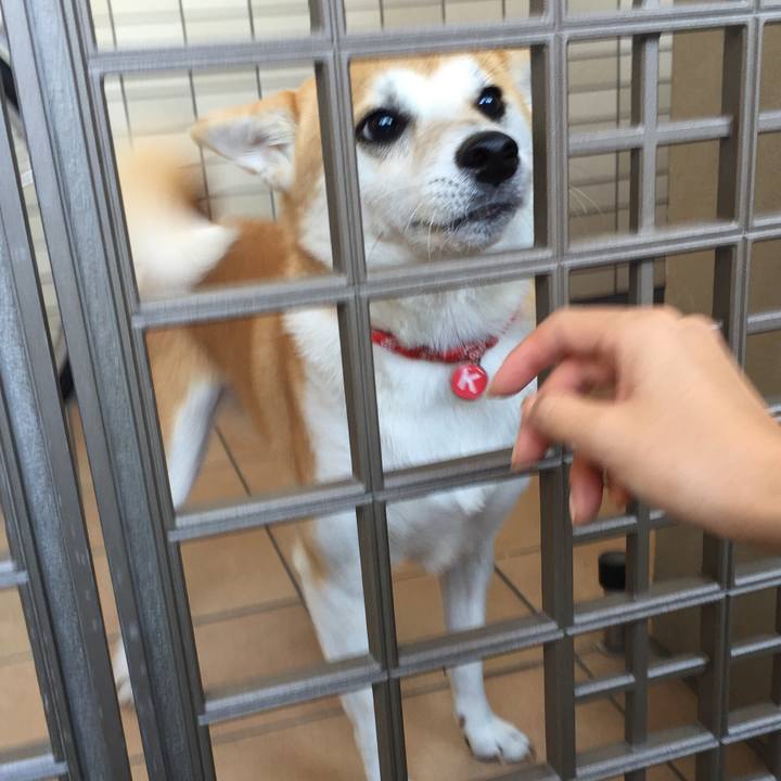 8315c067 b345 4053 8026 0eb437720cb0