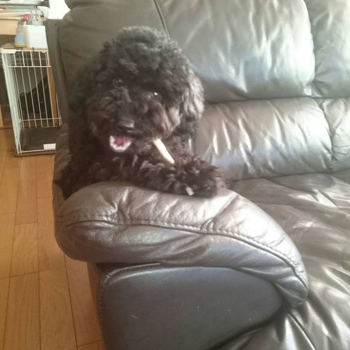 831632e7 fced 4aed a96d 09afc1844af9