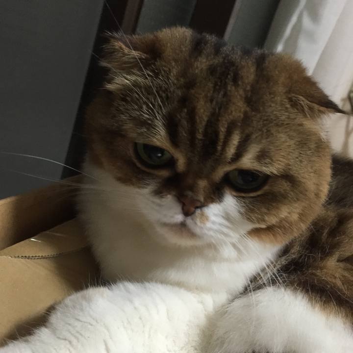 831673a0 d5fa 4473 aa71 9290e96d6a6c