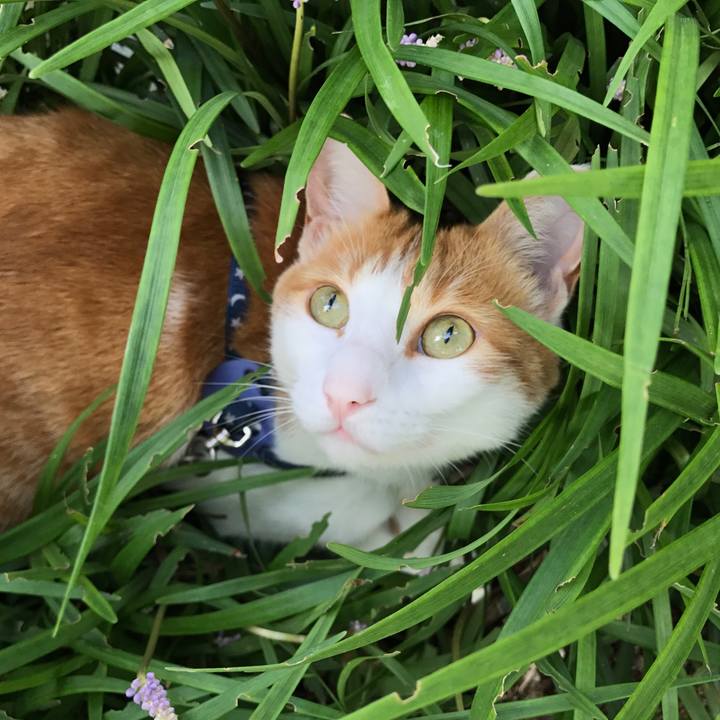 83167657 0c1a 4c7d 9541 33f7f6541b23