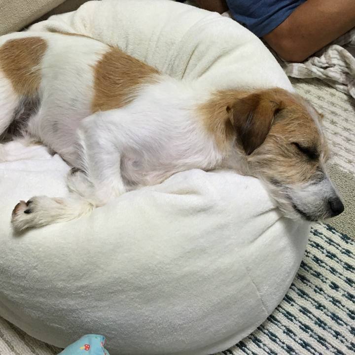 8316d6b0 8d68 429c 82b3 e80c3f7a9b46