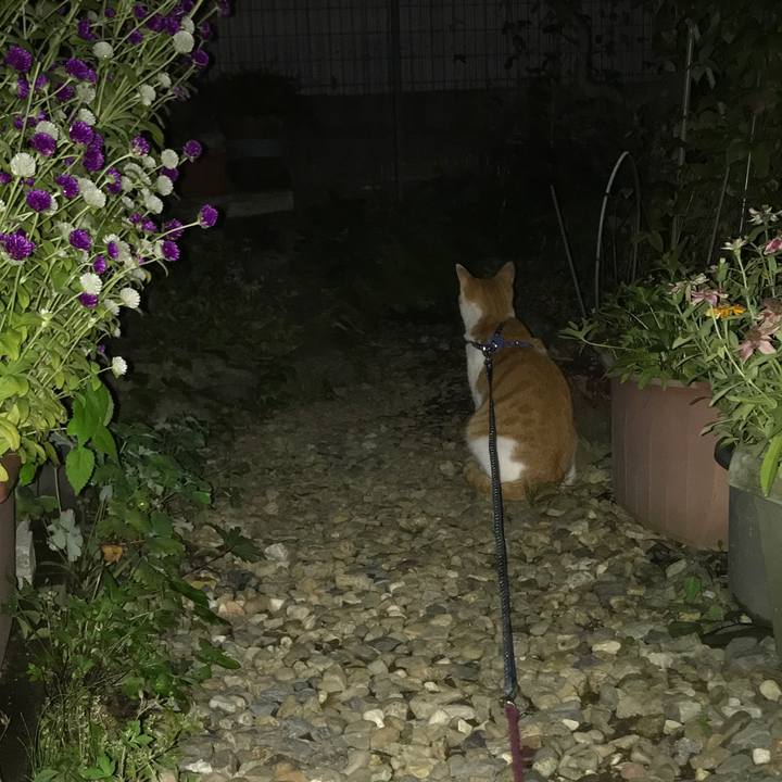 83177f21 e9ac 4e9e bca0 93c16de4ae34