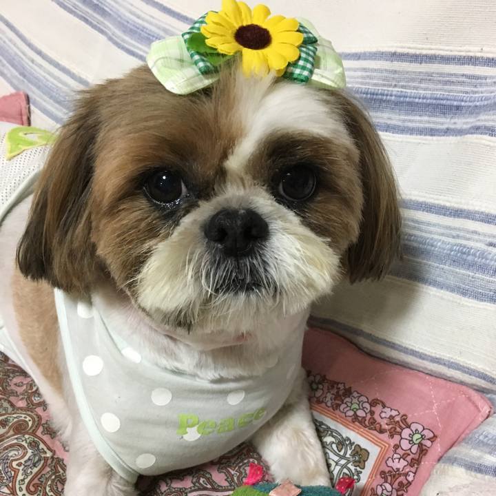 83183edd ecd6 43ed 9f3f b72eb6bcc59a