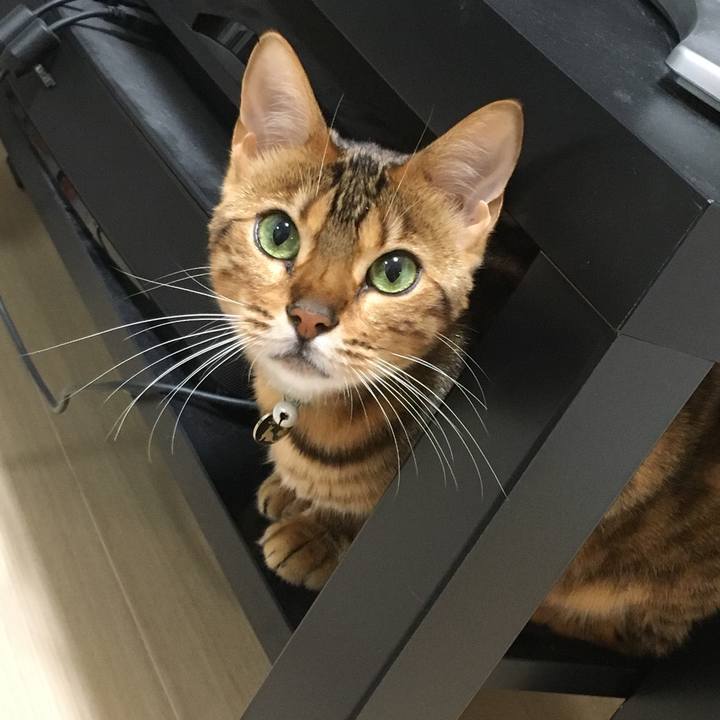 83188645 defb 4dcb a7af 57a9fb254dc4