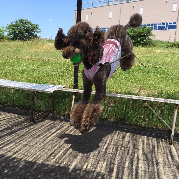 8318aa8b 971d 4729 acfd 762c9fa73ab0