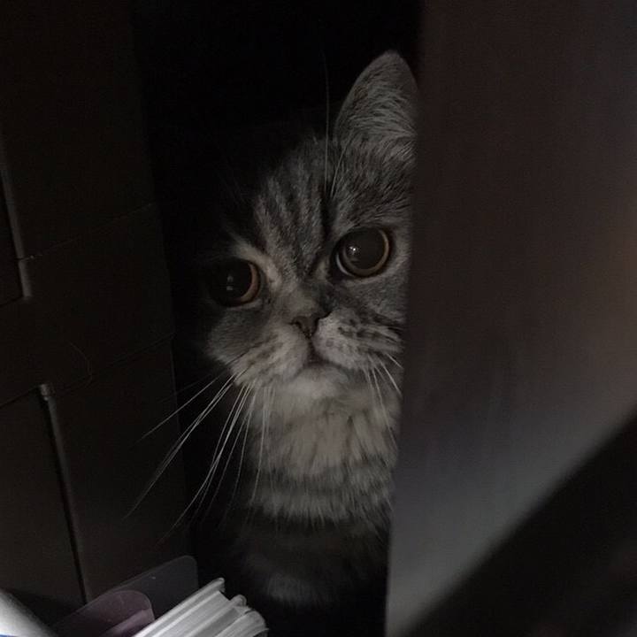 8318c3d9 6ce6 4109 aed6 e3eb31ed4fa5