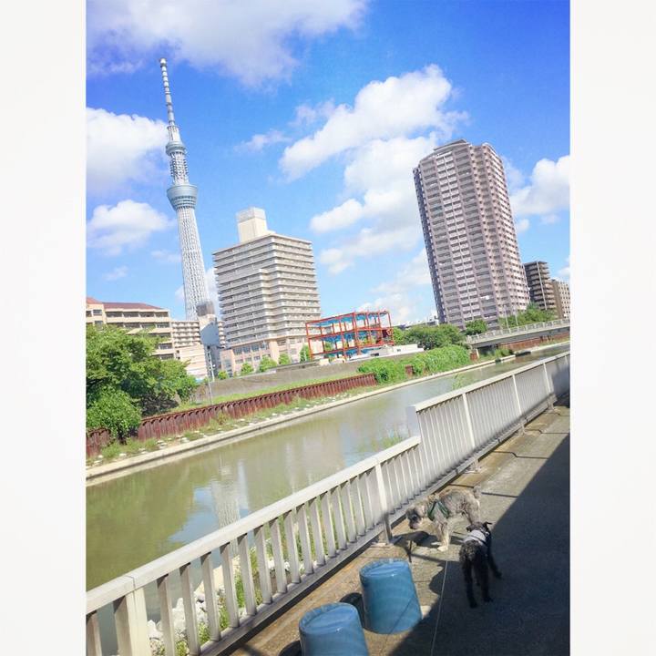 83195c9b 6300 4eb6 9075 ea582c08fcc8