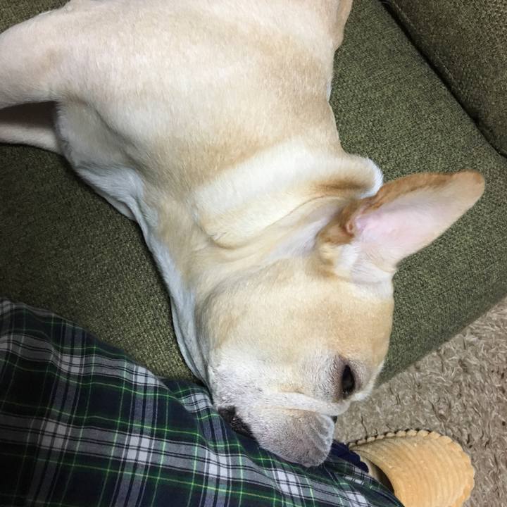 831988e1 0193 4e01 85de bac17addbd76