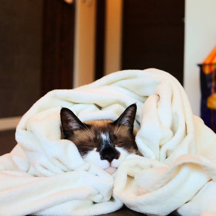 831a0d09 a4db 4e67 abcb 18527ef69dfd