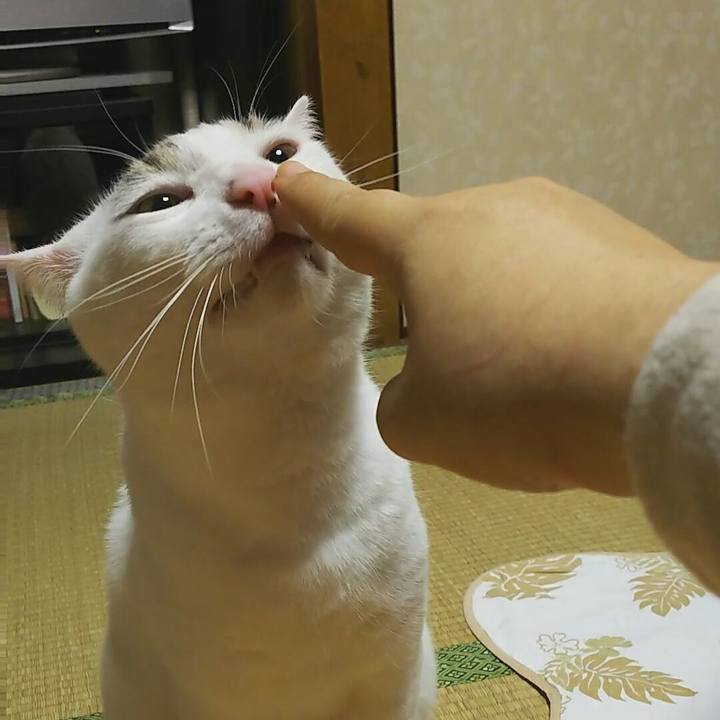 831a5d79 268d 4550 bbd9 89b90b71f74a