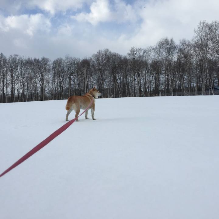 831ad645 4f40 45c4 b4f9 d6c1755ff8c7