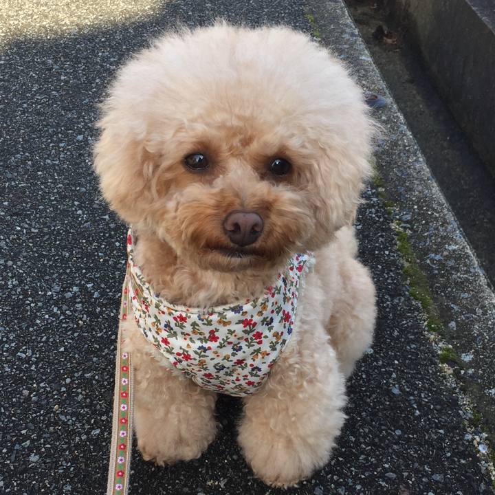 831b633b f395 41b4 af5c c8e66652c3a9