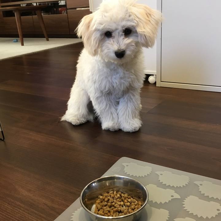 831b7b7f ad18 4388 a41a 8de91627e1be