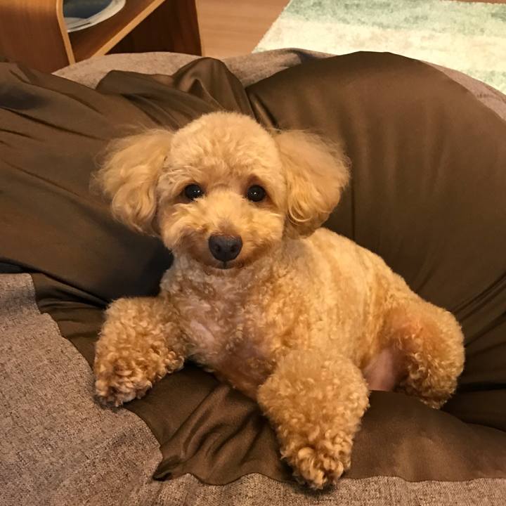 831bc8bd b513 46dc 9454 17527f965265