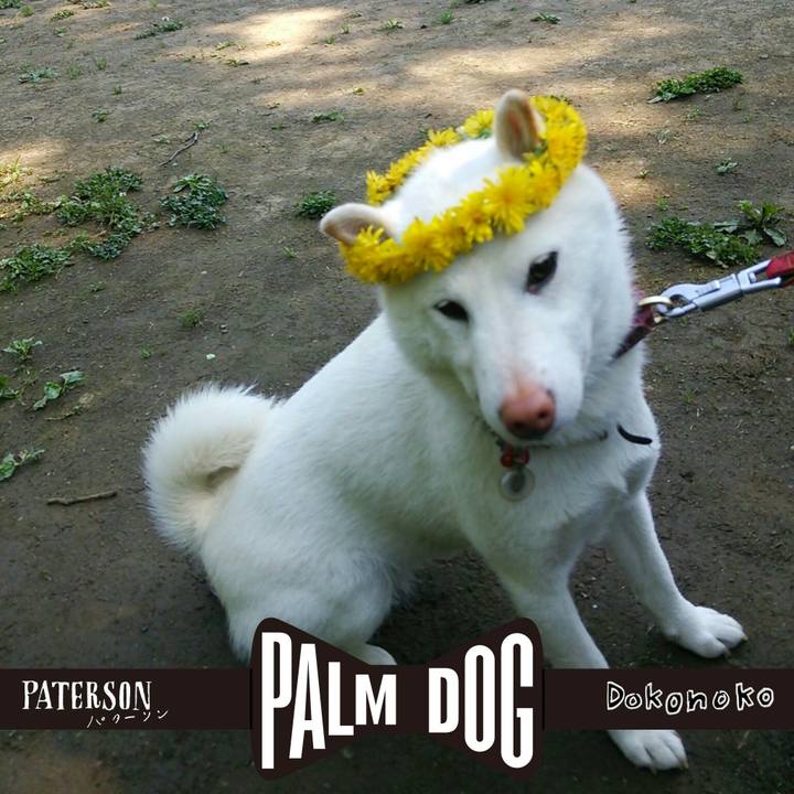 831bf5ce 259a 49da a8c8 5bdc7c94f140