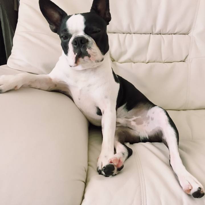 831dbae2 da0c 45d3 8642 9ca46eb01a84