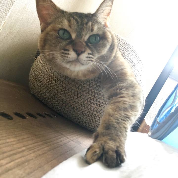 831dbf68 bd9d 4ccf 8737 2c9e4c420abb