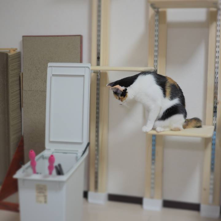 831df81b cf57 4455 a6e1 2ee1f4306015