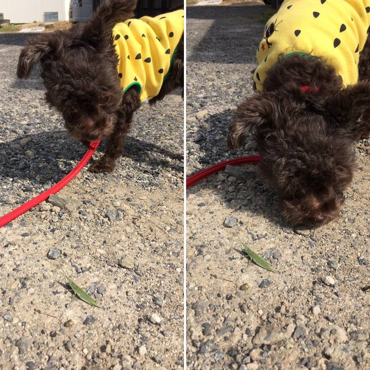 831df9d4 e6c3 4612 b3d3 aa361f82af6e