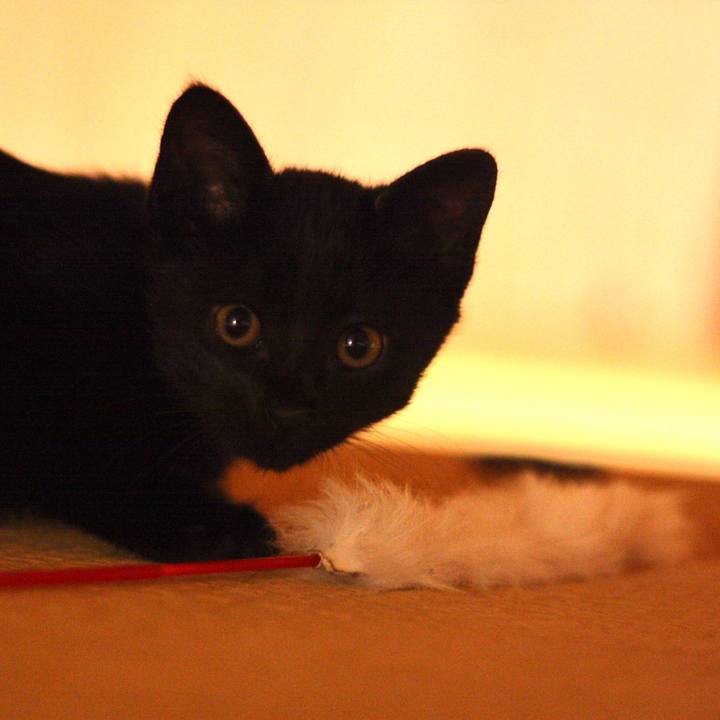 831e2bde 772e 4c88 a676 7d3c85553055