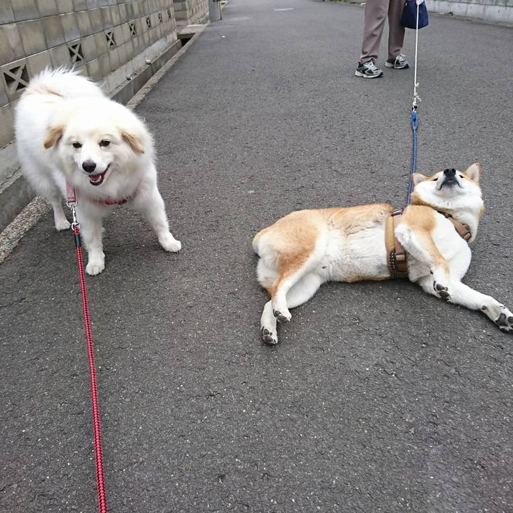 831ea104 909c 420b a6a3 ea6b462d1e37