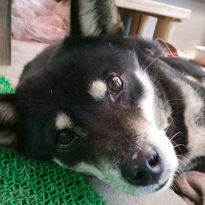 831f12ff 28f6 4ef6 97e7 1689568f1122