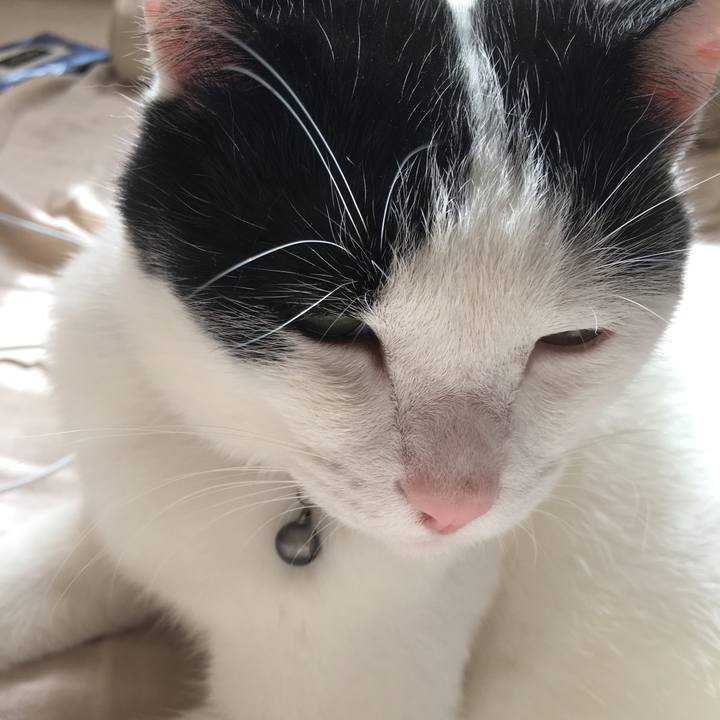 831ffbbd 5d86 4cb2 af2a 2a3e8ff2c526