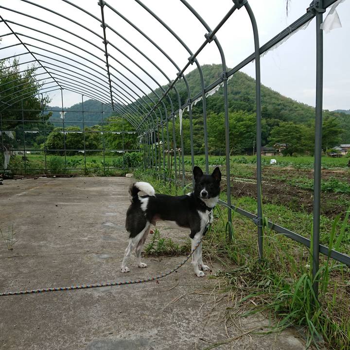 8320133a 1795 48a5 ac33 c6e2e2fbc360