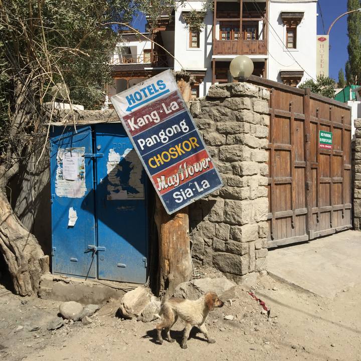 83203013 0dc4 4212 8cdb f544e6260306