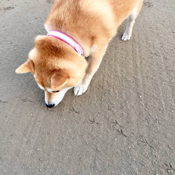 832085af d31d 4ba3 a478 654acdd920a9