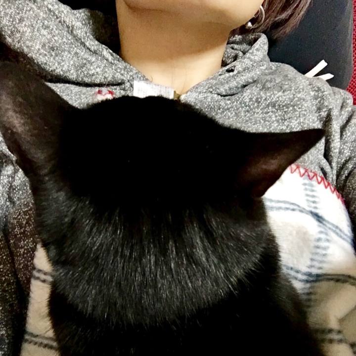 8321f676 ed51 4b82 b57a 3a66cf056f90