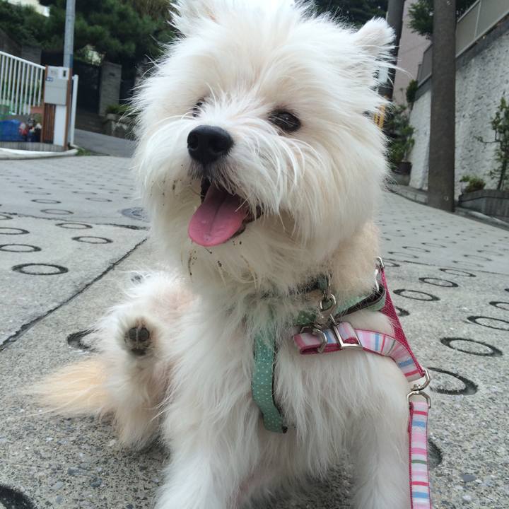 8321f8d6 749a 4c3c 80a4 6bb90bae60fb