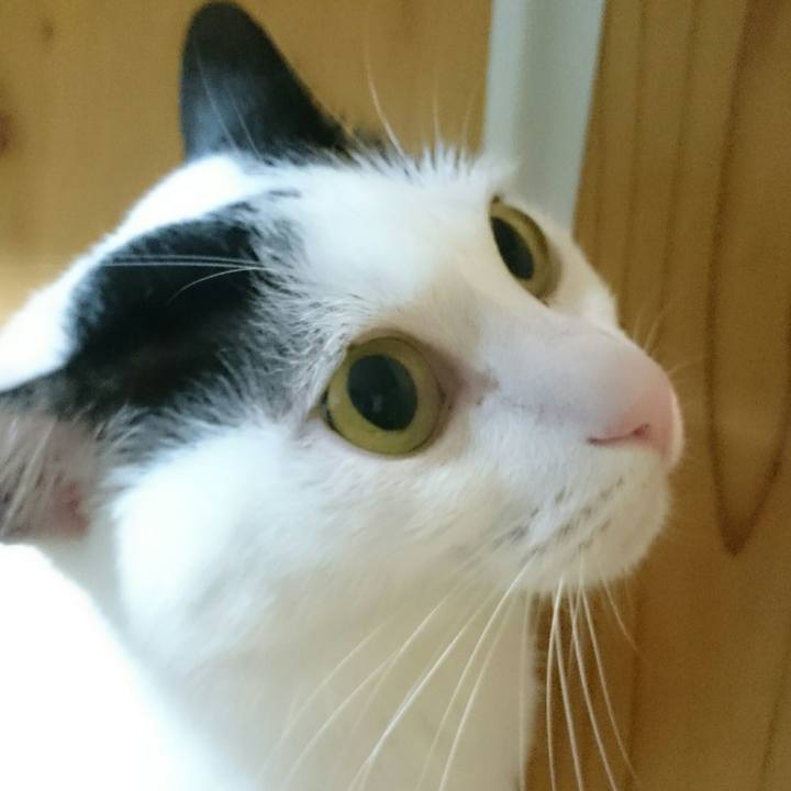 83222f63 02e5 4dee b542 aeb7343115d0