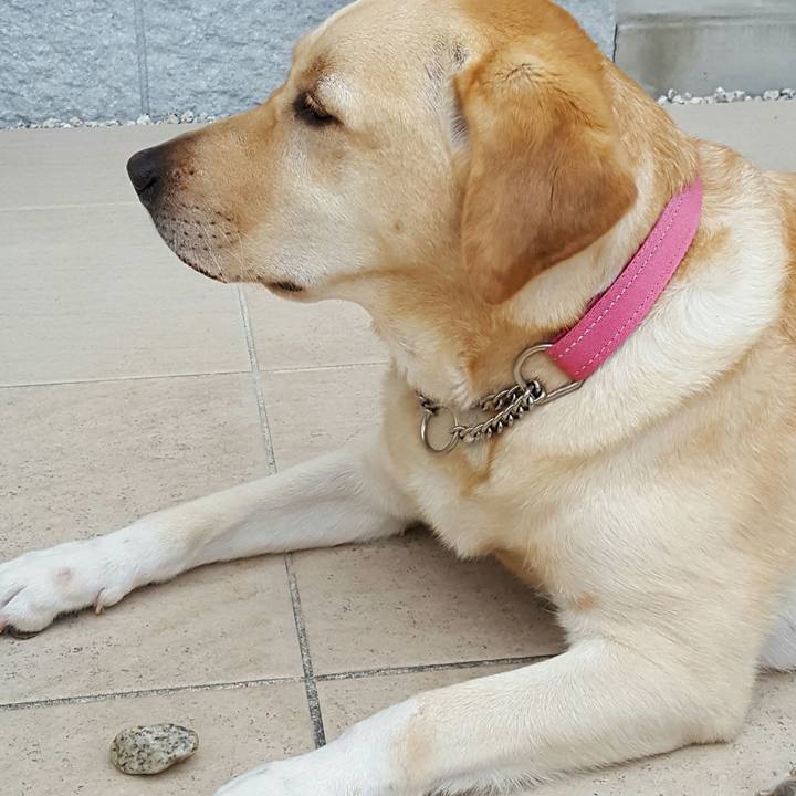 83227eae ff37 4b31 b964 0ef25af0513e