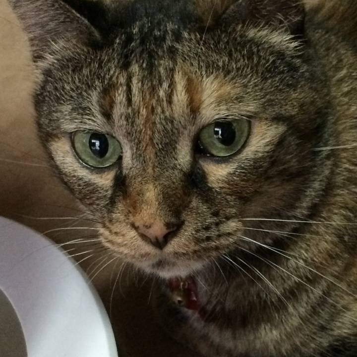 83230d13 c8eb 4025 bcca db8968d5266f