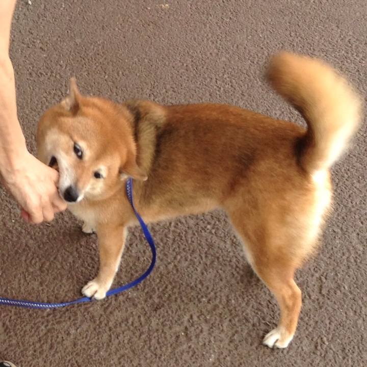 83231567 38d1 43e9 8868 e8edb6f6c96e