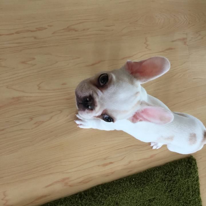 8323366b c63a 4e86 a44a c7b907cbd7bd