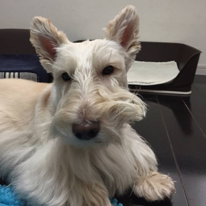 83233f77 dcb1 47f9 8f4d 1073cbb195c3