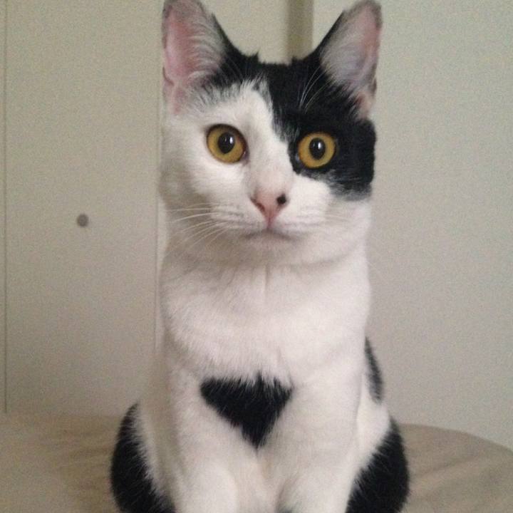 8323a04c eb5f 4380 84eb 3bd076f0e097