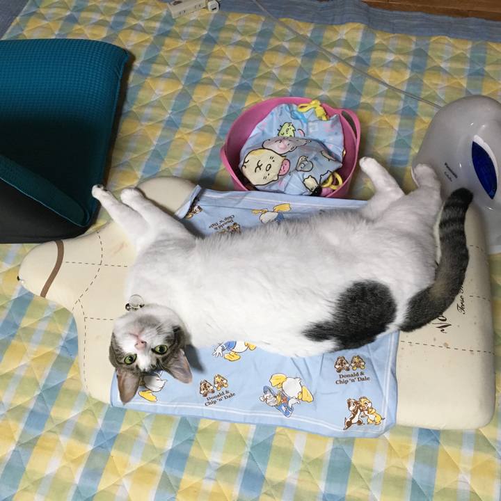 8323d4c7 d237 42a8 bfd5 26ee31362e15