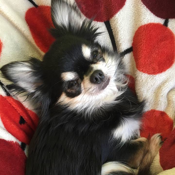 8323e4da bf81 46b9 bee9 a402b0346e8a