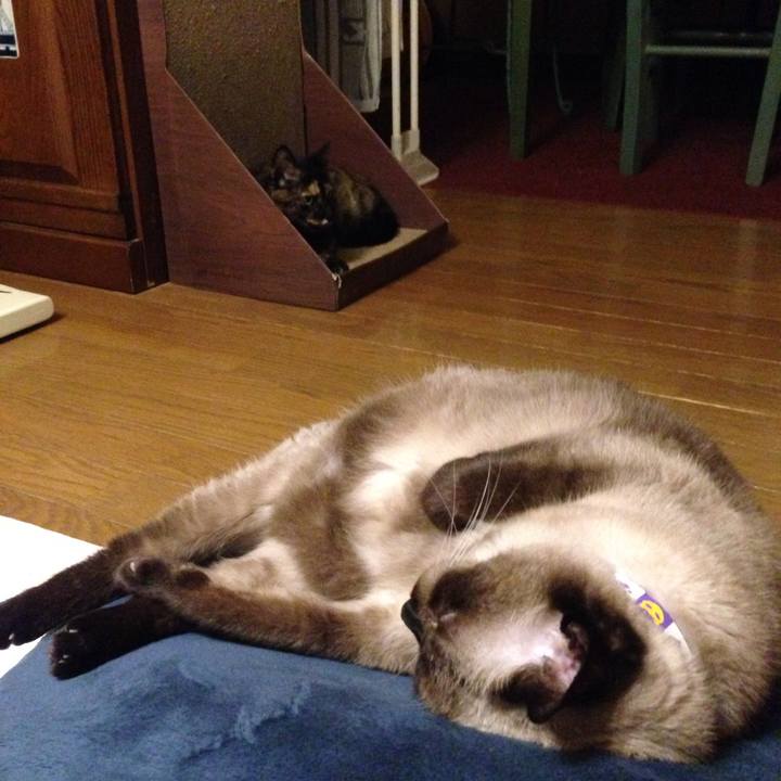 8324b42d d9a1 493d a1e1 0191a45453dd