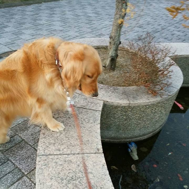 8324de12 d96c 43b0 8ae8 f91501d00517